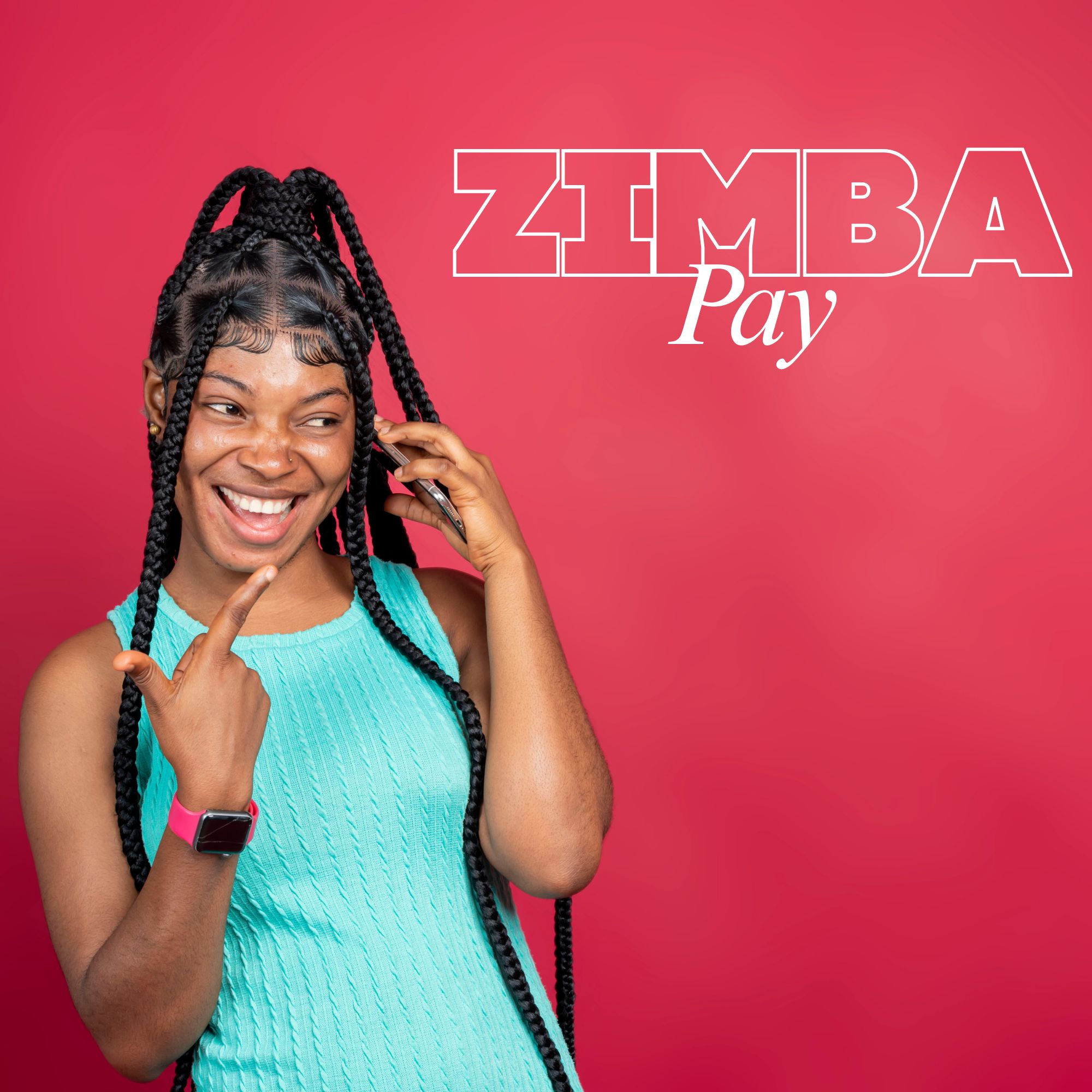 ZimbaPay product suite demo access