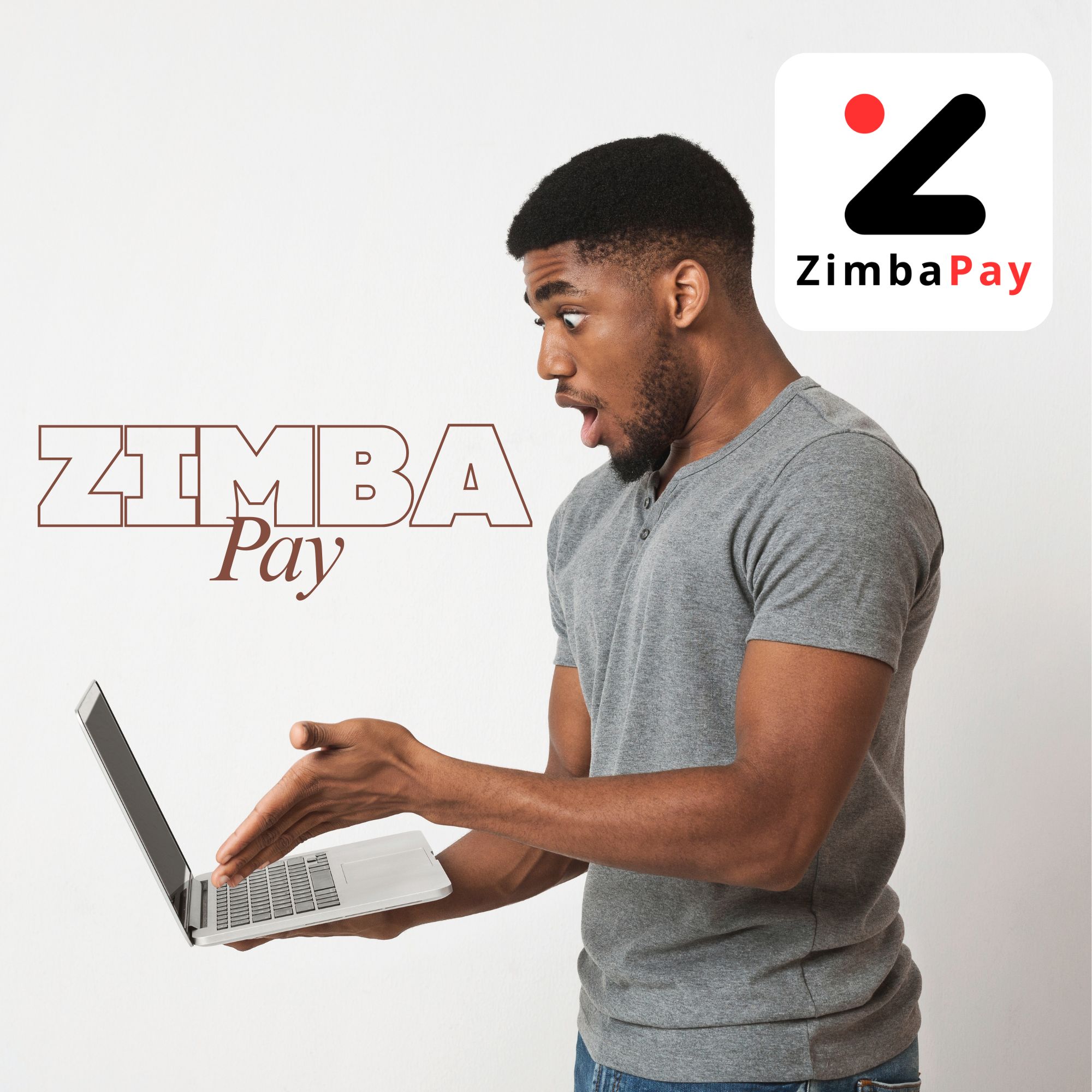 ZimbaPay suite illustration