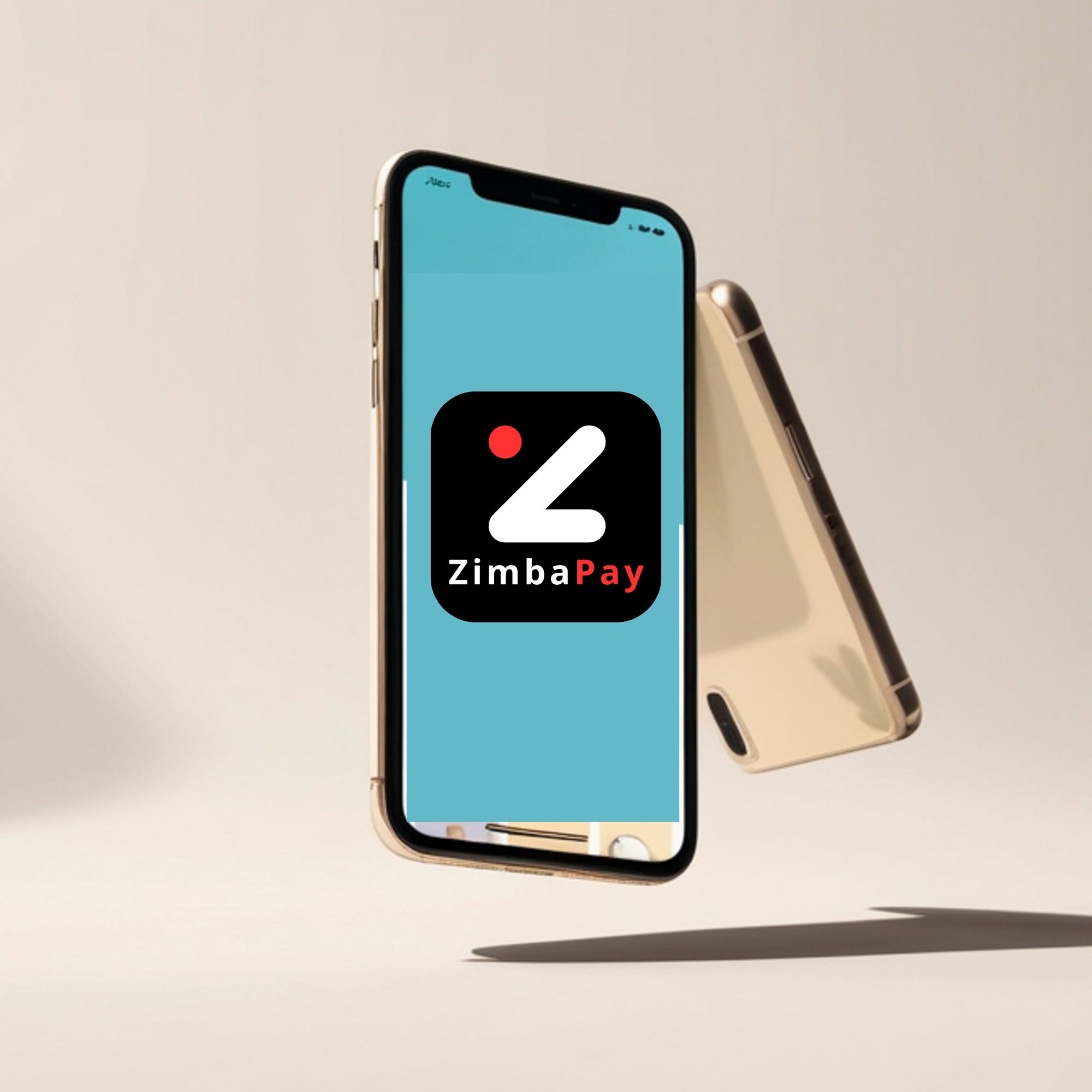 Built for Zimbabwe business realities